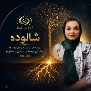 شالوده: نقطه صفر وجود
